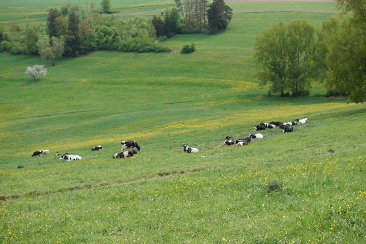 شقة Bannholz  في Fernblick Auf Dem Bauernhof المظهر الخارجي الصورة
