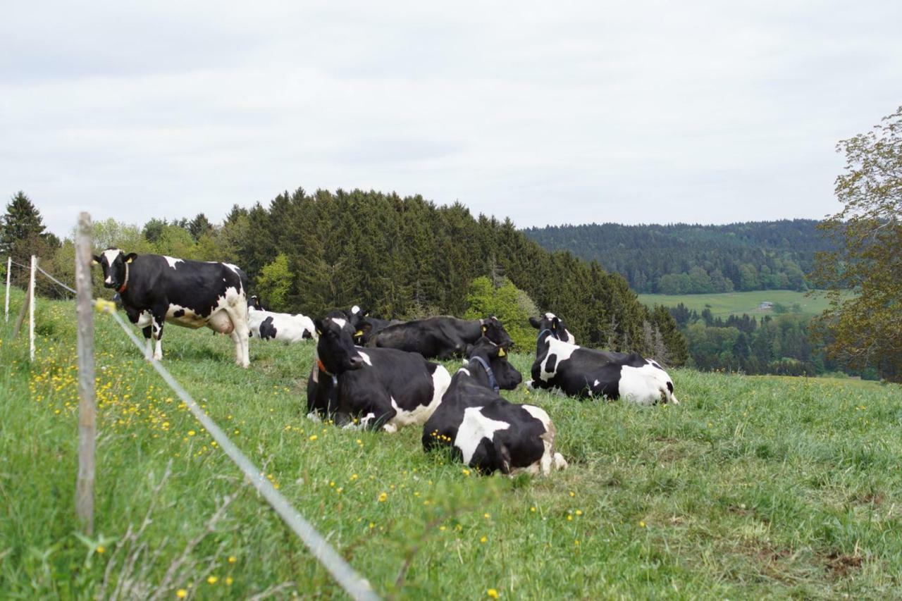 شقة Bannholz  في Fernblick Auf Dem Bauernhof المظهر الخارجي الصورة